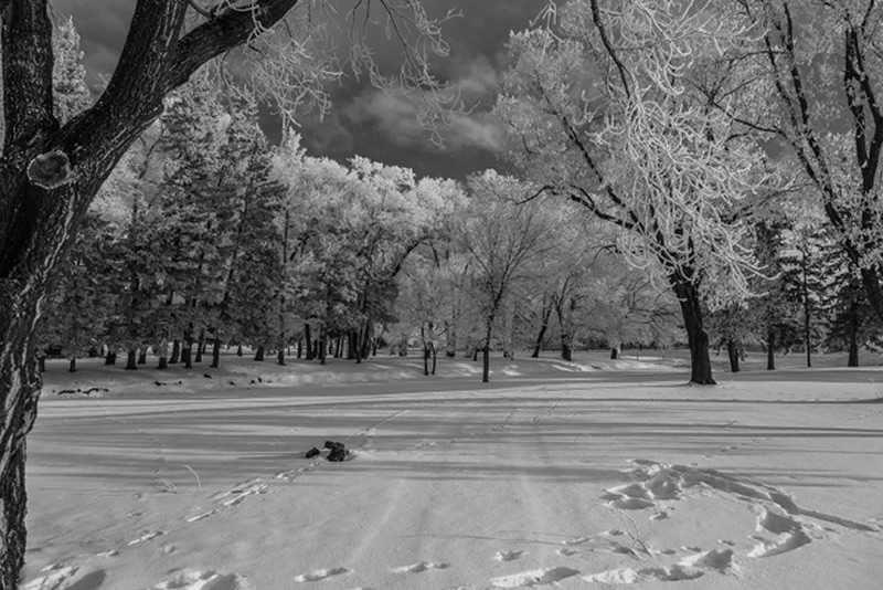 White and Black by Stino Scaletta